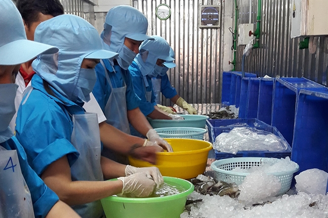 Các hiệp định thương mại tự do giúp Việt Nam đạt thặng dư trên 6 tỷ USD Cac hiep dinh thuong mai tu do giup Viet Nam dat thang du tren 6 ty USD