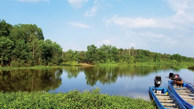 Một ngày ở cánh đồng bất tận Mot ngay o canh dong bat tan