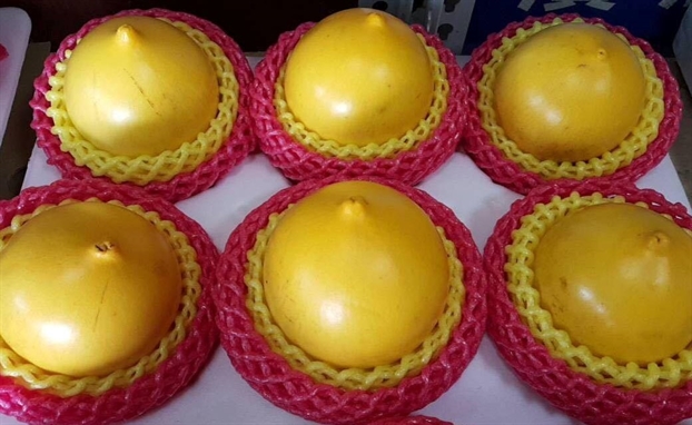 Giá tiền triệu, vú sữa vàng vẫn hút hàng Gia tien trieu, vu sua vang van hut hang