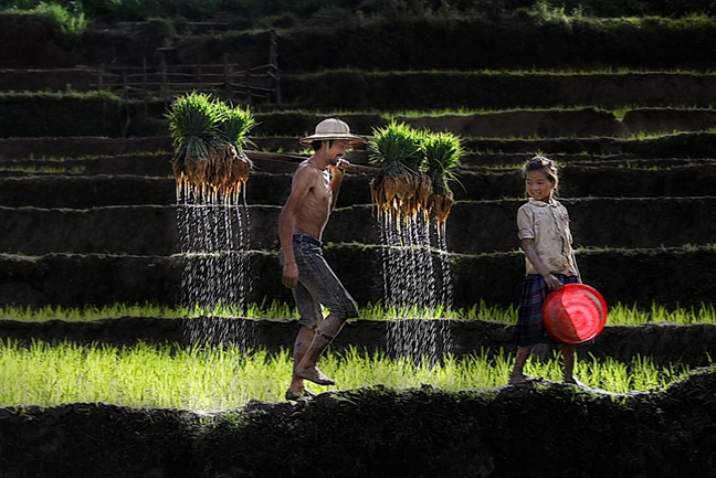 Ảnh về làng nghề bánh hỏi đạt giải 'Ảnh Di sản Việt Nam 2018' Anh ve lang nghe banh hoi dat giai 'Anh Di san Viet Nam 2018'
