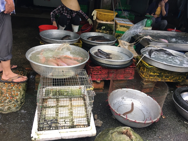 Cửa hàng tiện lợi 'cháy hàng' thức ăn nhanh, trứng gà, xúc xích Cua hang tien loi 'chay hang' thuc an nhanh, trung ga, xuc xich