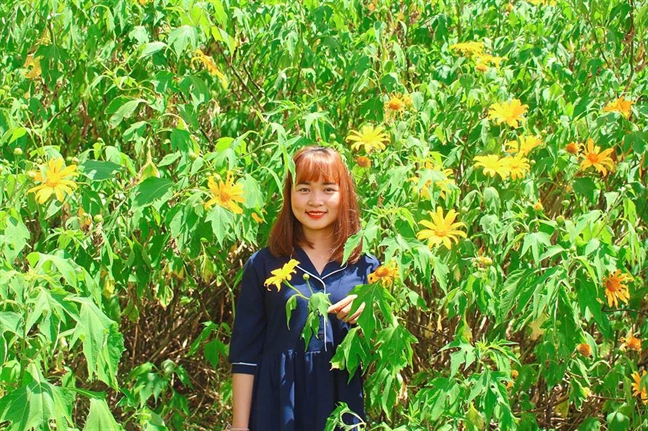 Tháng 11, Đà Lạt mùa của những loài hoa Thang 11, Da Lat mua cua nhung loai hoa