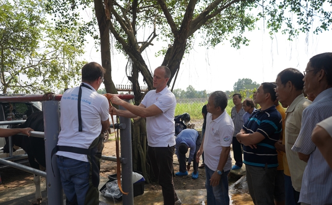 Nông dân Việt Nam và nông dân Hà Lan giao lưu, tập huấn kỹ thuật chăn nuôi bò sữa Nong dan Viet Nam va nong dan Ha Lan giao luu, tap huan ky thuat chan nuoi bo sua