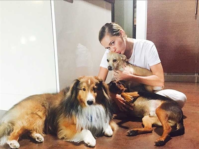 Miley Cyrus yêu chồng sắp cưới nhiều hơn từ sau đám cháy kinh hoàng Miley Cyrus yeu chong sap cuoi nhieu hon tu sau dam chay kinh hoang