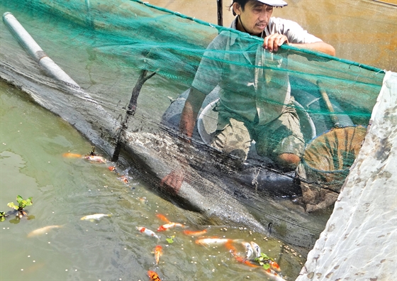 Tốn cả núi tiền, vẫn hoàn ô nhiễm - Bài 3: Trạm quan trắc môi trường cũng bị 'bịt mắt' Ton ca nui tien, van hoan o nhiem - Bai 3: Tram quan trac moi truong cung bi 'bit mat'