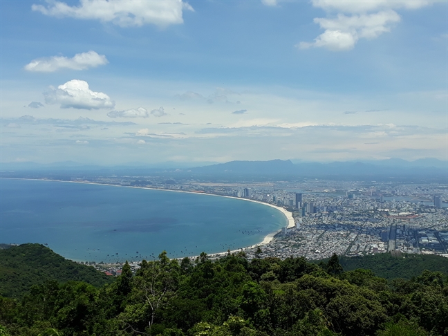 Sở TN-MT Đà Nẵng bị khiển trách liên quan dự án ở bán đảo Sơn Trà So TN-MT Da Nang bi khien trach lien quan du an o ban dao Son Tra