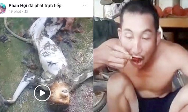 Khởi tố nhóm người giết voọc rồi phát cảnh ăn óc trực tiếp lên Facebook Khoi to nhom nguoi giet vooc roi phat canh an oc truc tiep len Facebook