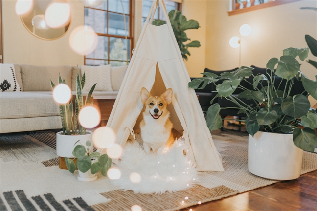 Tử vi thứ 6 ngày 11/1/2019 của 12 Cung Hoàng Đạo Tu vi thu 6 ngay 11/1/2019 cua 12 Cung Hoang Dao