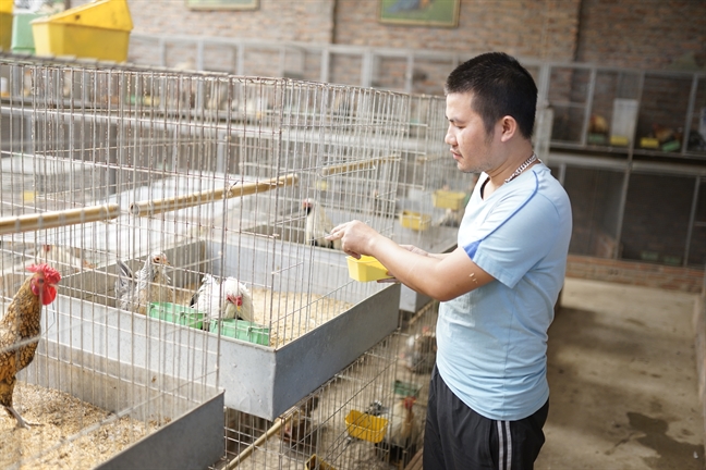 'Xếp hàng' cả tháng mua gà may mắn giá gần chục triệu làm quà biếu tết 'Xep hang' ca thang mua ga may man gia gan chuc trieu lam qua bieu tet