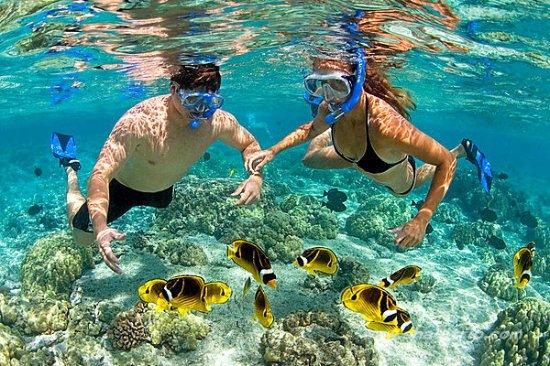 Những món quà tốt cho sức khỏe nên tặng trong ngày lễ tình nhân 2019 Nhung mon qua tot cho suc khoe nen tang trong ngay le tinh nhan 2019