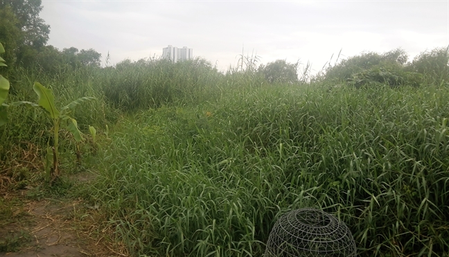 Thị trường bất động sản 'đứng hình', lãng phí ‘mỏ vàng’ đất đai Thi truong bat dong san 'dung hinh', lang phi ‘mo vang’ dat dai