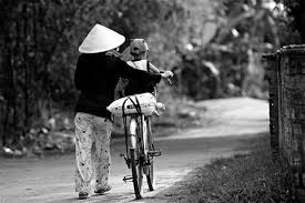 Bông hồng của mẹ Bong hong cua me