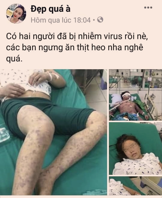 Loạn thông tin thất thiệt về dịch tả lợn, Bộ NN-PTNT kiến nghị xử lý nghiêm Loan thong tin that thiet ve dich ta lon, Bo NN-PTNT kien nghi xu ly nghiem