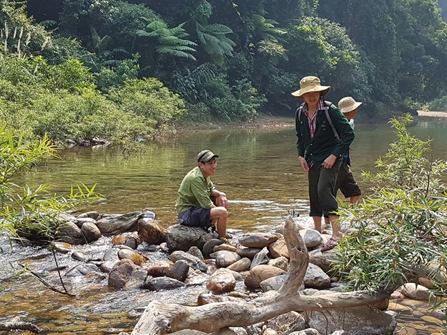 Kỷ luật, cách chức nhiều cán bộ liên quan vụ phá rừng đầu nguồn ở Huế Ky luat, cach chuc nhieu can bo lien quan vu pha rung dau nguon o Hue