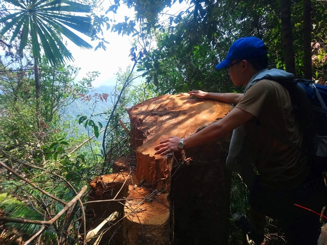 Kỷ luật, cách chức nhiều cán bộ liên quan vụ phá rừng đầu nguồn ở Huế Ky luat, cach chuc nhieu can bo lien quan vu pha rung dau nguon o Hue