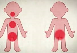 Dạy kỹ năng sống cho con - ba mẹ đừng quên Day ky nang song cho con - ba me dung quen
