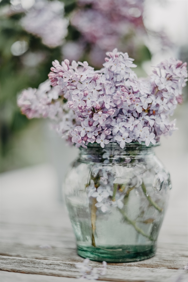 Tử vi thứ 6 ngày 5/4/2019 của 12 Cung Hoàng Đạo Tu vi thu 6 ngay 5/4/2019 cua 12 Cung Hoang Dao