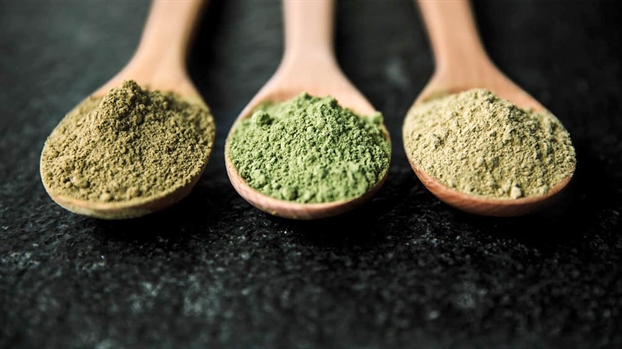CDC cảnh báo về nguy cơ từ thực phẩm chức năng chứa thành phần lá kratom CDC canh bao ve nguy co tu thuc pham chuc nang chua thanh phan la kratom