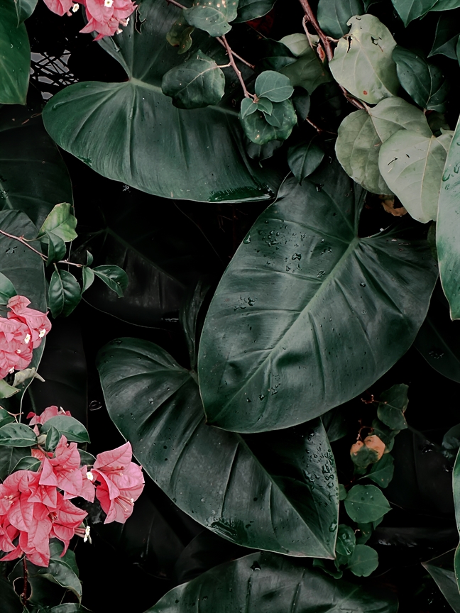 Tử vi thứ 3 ngày 16/4/2019 của 12 Cung Hoàng Đạo Tu vi thu 3 ngay 16/4/2019 cua 12 Cung Hoang Dao
