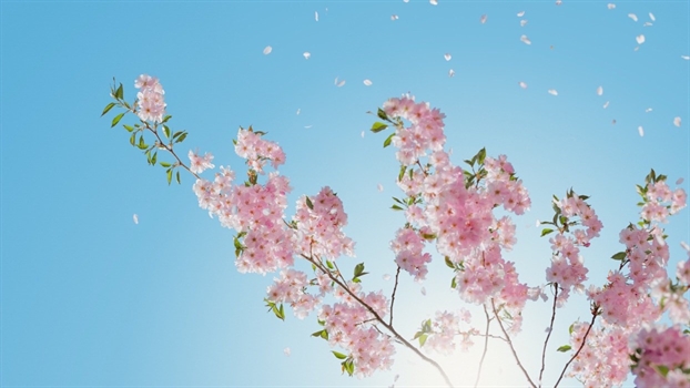 Tử vi Thứ 2 ngày 22/4/2019 của 12 cung Hoàng Đạo Tu vi Thu 2 ngay 22/4/2019 cua 12 cung Hoang Dao