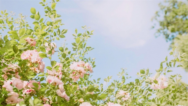 Tử vi Thứ 2 ngày 22/4/2019 của 12 cung Hoàng Đạo Tu vi Thu 2 ngay 22/4/2019 cua 12 cung Hoang Dao