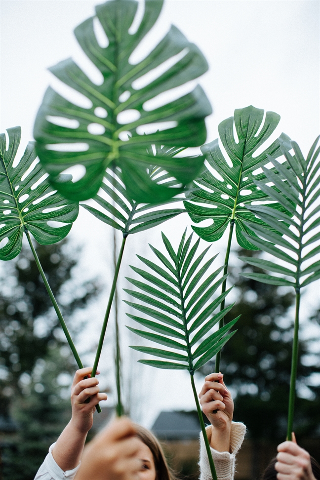 Tử vi thứ 5 ngày 25/4/2019 của 12 Cung Hoàng Đạo Tu vi thu 5 ngay 25/4/2019 cua 12 Cung Hoang Dao