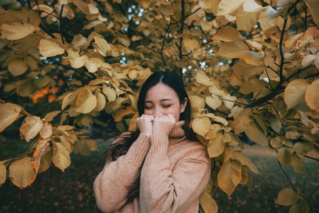 Tử vi thứ 5 ngày 2/5/2019 của 12 Cung Hoàng Đạo Tu vi thu 5 ngay 2/5/2019 cua 12 Cung Hoang Dao