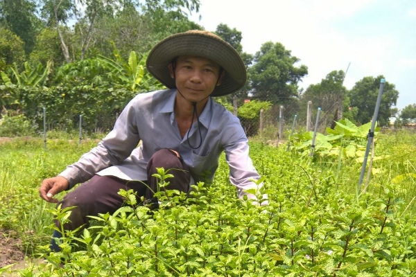 Thiếu vốn, 'trèo đèo' vay qua các quỹ tín dụng Thieu von, 'treo deo' vay qua cac quy tin dung