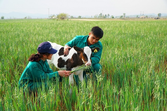 Đầu tư 120 triệu USD, Vinamilk hợp tác xây dựng tổ hợp ‘resort’ bò sữa organic tại Lào Dau tu 120 trieu USD, Vinamilk hop tac xay dung to hop ‘resort’ bo sua organic tai Lao