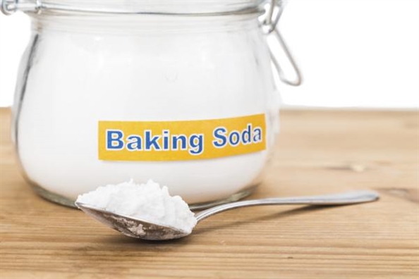 Cách diệt loài gián Đức đang hoành hành nhà bạn Cach diet loai gian Duc dang hoanh hanh nha ban