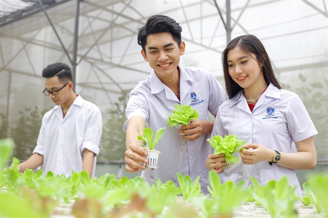 Đại học Nguyễn Tất Thành - Dấu ấn 20 năm Dai hoc Nguyen Tat Thanh - Dau an 20 nam