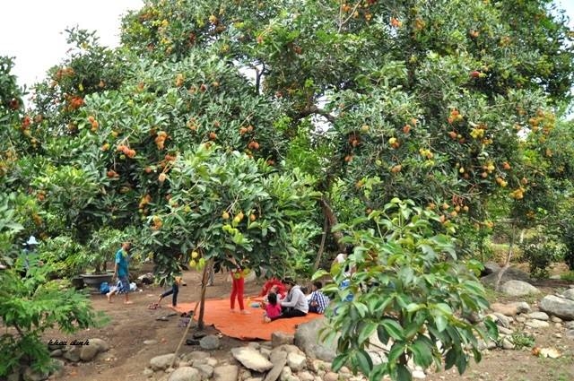 Đàn con thất bại khi thuyết phục cha bán đất Dan con that bai khi thuyet phuc cha ban dat