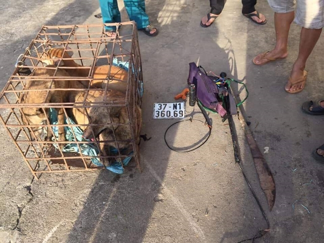 May là công an bắt được, nếu không, 'cẩu tặc' đã nhừ đòn May la cong an bat duoc, neu khong, 'cau tac' da nhu don