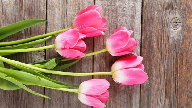 Tử vi Thứ 2 ngày 10/6/2019 của 12 cung Hoàng Đạo Tu vi Thu 2 ngay 10/6/2019 cua 12 cung Hoang Dao