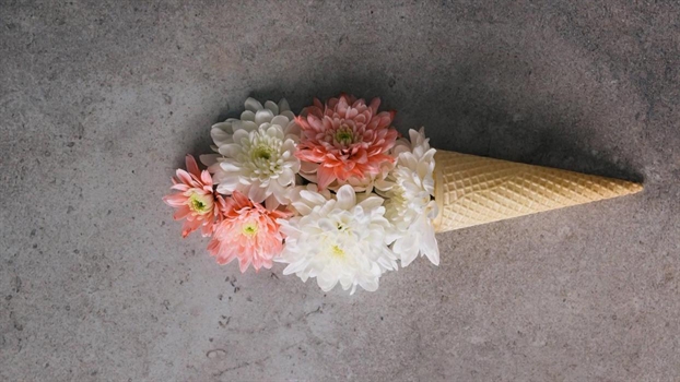 Tử vi Thứ 2 ngày 10/6/2019 của 12 cung Hoàng Đạo Tu vi Thu 2 ngay 10/6/2019 cua 12 cung Hoang Dao