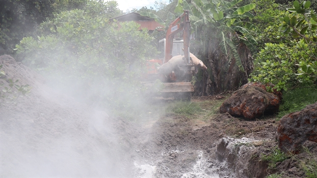 Bình Phước: Tiêu hủy hơn 100 con heo dương tính với dịch tả heo châu Phi Binh Phuoc: Tieu huy hon 100 con heo duong tinh voi dich ta heo chau Phi