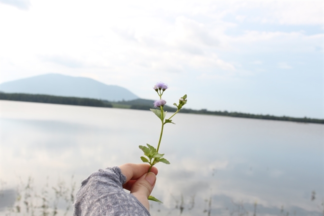 Đến hồ núi Le ngắm hoàng hôn và ăn tép hấp xúc bánh tráng Den ho nui Le ngam hoang hon va an tep hap xuc banh trang