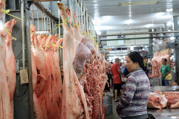 Heo hơi rớt giá vì dịch tả, giá thịt vẫn cao ngất ngưởng Heo hoi rot gia vi dich ta, gia thit van cao ngat nguong