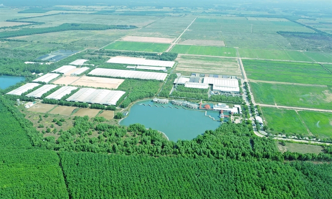 Chiến lược để dẫn đầu thị trường sữa của ‘triệu phú sữa tươi’ Việt Nam Chien luoc de dan dau thi truong sua cua ‘trieu phu sua tuoi’ Viet Nam