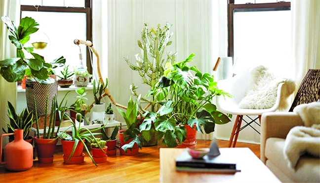 Tiền điện sẽ giảm đáng kể nếu các gia đình áp dụng những cách tiết kiệm điện dưới đây Tien dien se giam dang ke neu cac gia dinh ap dung nhung cach tiet kiem dien duoi day