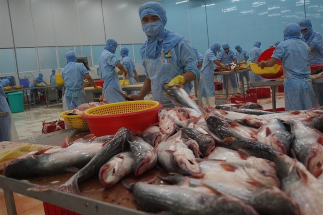 Nông nghiệp đồng bằng sông Cửu Long đóng góp gần 35% GDP nông nghiệp cả nước Nong nghiep dong bang song Cuu Long dong gop gan 35% GDP nong nghiep ca nuoc