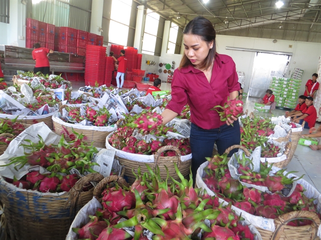 Đồ ăn vặt thu tiền tấn nếu đem xuất khẩu Do an vat thu tien tan neu dem xuat khau