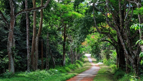 Ba Vì đẹp huyền ảo Ba Vi dep huyen ao