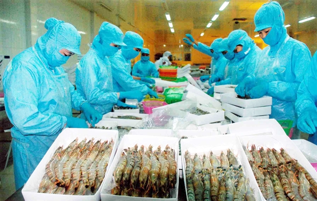 Việt Nam đối diện với đòn thuế từ Mỹ nếu cứ để hàng Trung Quốc 'quá cảnh' Viet Nam doi dien voi don thue tu My neu cu de hang Trung Quoc 'qua canh'