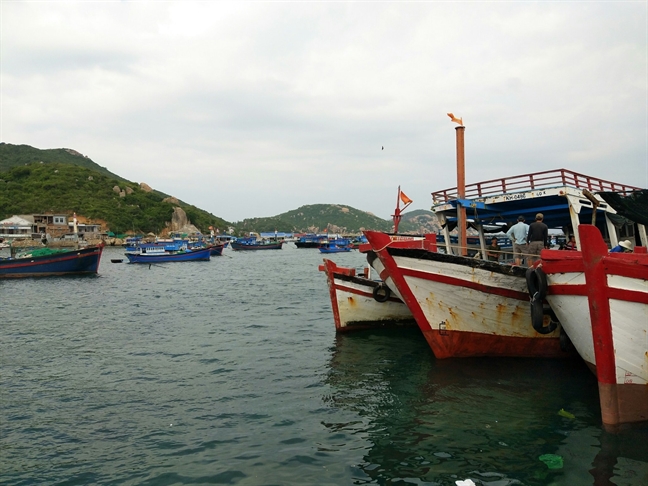 Ăn gì, ở đâu khi đi đảo Bình Ba mùa này? An gi, o dau khi di dao Binh Ba mua nay?