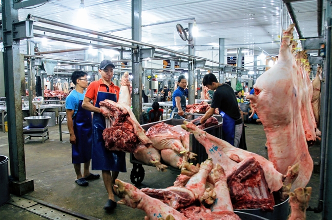 Giá thịt heo nhập khẩu chỉ 30.000 đồng/kg nhưng không bán ở chợ Gia thit heo nhap khau chi 30.000 dong/kg nhung khong ban o cho