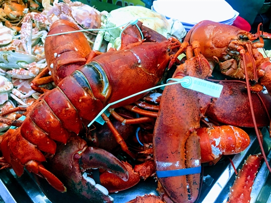 Tưởng tôm hùm Alaska 170.000 đồng/kg, nhiều người đi mua mới... 'ngã ngửa' Tuong tom hum Alaska 170.000 dong/kg, nhieu nguoi di mua moi... 'nga ngua'
