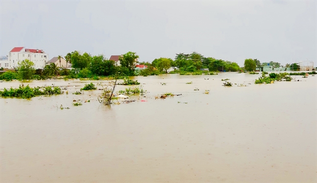 'Đảo ngọc Phú Quốc chưa bao giờ ngập như bây giờ' 'Dao ngoc Phu Quoc chua bao gio ngap nhu bay gio'