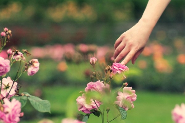 Thanh xuân rồi trung niên lướt qua như bóng nắng Thanh xuan roi trung nien luot qua nhu bong nang