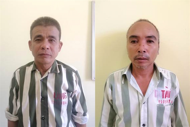 Màn kịch hoàn hảo giúp 2 ‘siêu lừa’ bán mật heo giá trăm triệu Man kich hoan hao giup 2 ‘sieu lua’ ban mat heo gia tram trieu